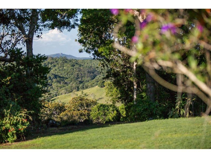 532 Black Mountain Road, Black Mountain QLD 4563