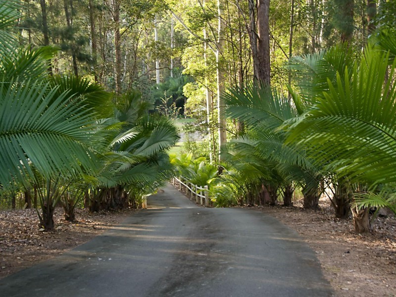 21 Greentree Place, Doonan QLD 4562