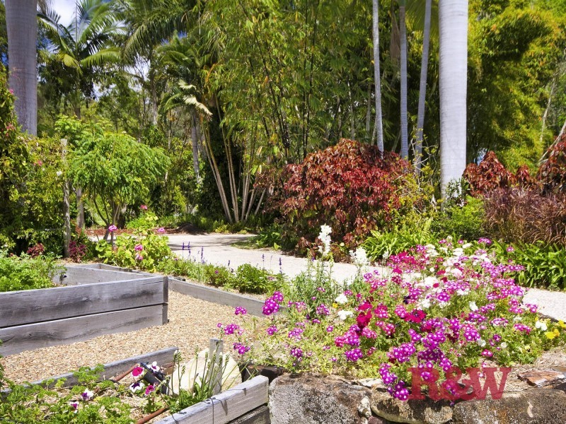 43 Tait Street, Tewantin QLD 4565