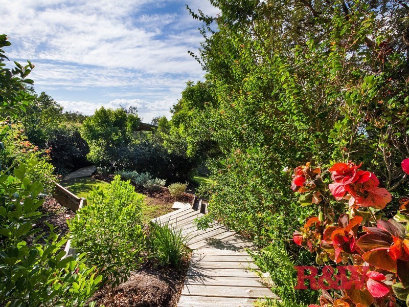 41 Pelican Street, Peregian Beach QLD 4573