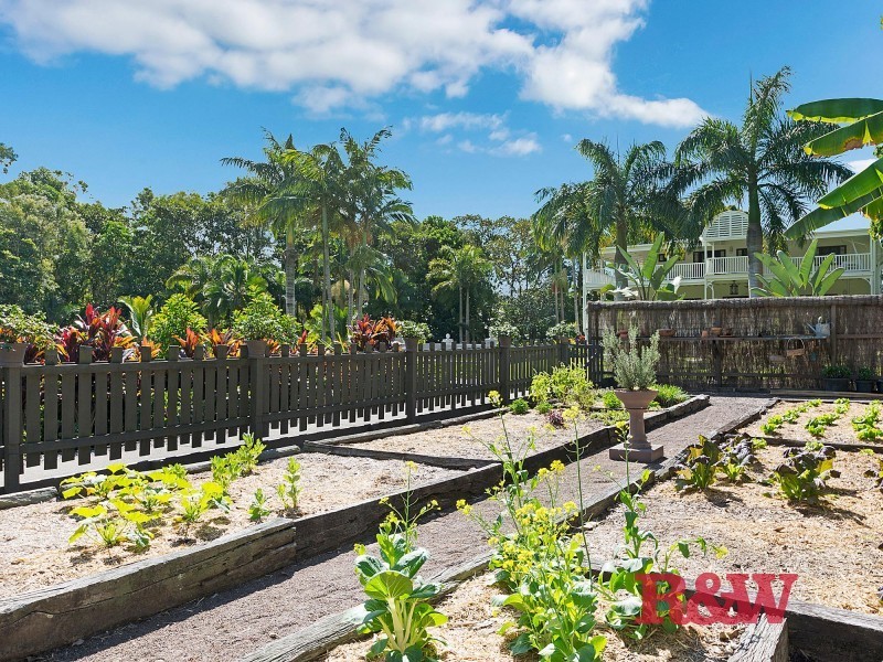 52 Tait Street, Tewantin QLD 4565