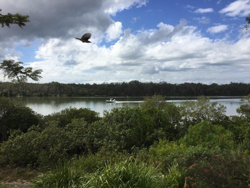 52 Tait Street, Tewantin QLD 4565