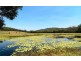293 Cedar Creek Road, Belli Park QLD 4562