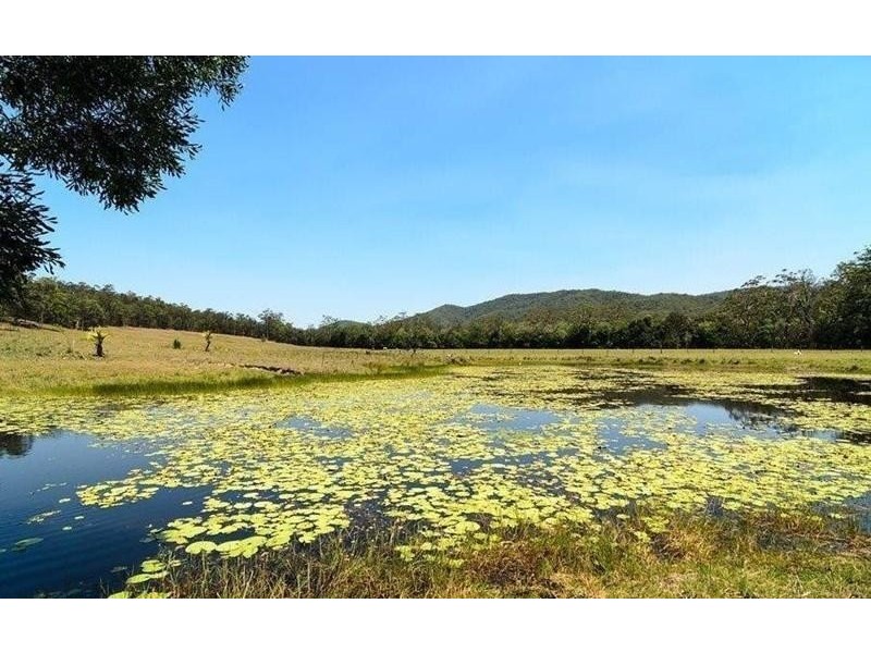 293 Cedar Creek Road, Belli Park QLD 4562