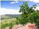 2 Jocelyn Drive, Eumundi QLD 4562