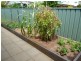 23 Nowland Street, Chinchilla QLD 4413