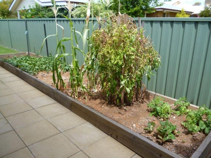 23 Nowland Street, Chinchilla QLD 4413