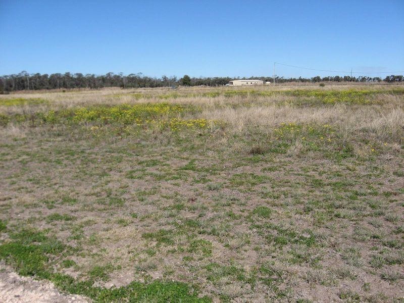 Lot 4 / 41 Elder Street, Chinchilla QLD 4413