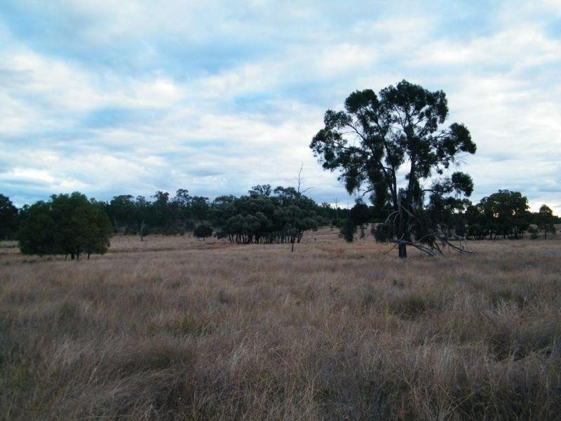 1500 Hookswood Road, Miles QLD 4415