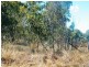 Lot 7 Weitzels Road, Kogan QLD 4406
