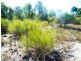 Lot 184 Tregathlyn Road, Tara QLD 4421