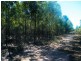 Lot 184 Tregathlyn Road, Tara QLD 4421