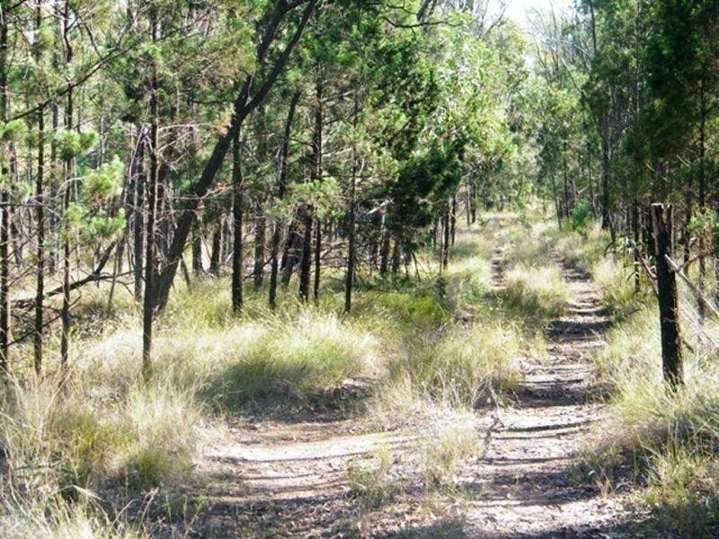 Lot 74 West Valley Road, Tara QLD 4421