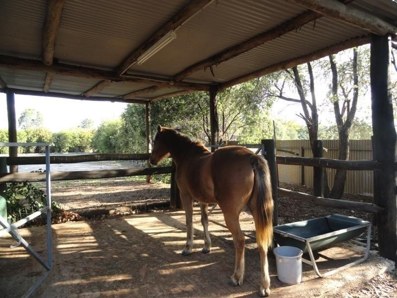 199 Wondai Road, Chinchilla QLD 4413