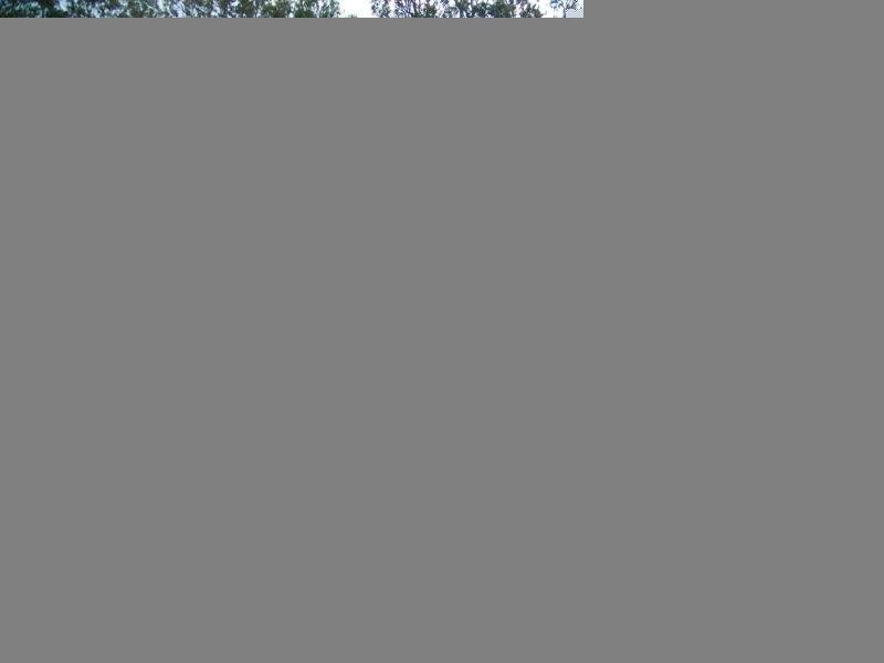 419 Chinchilla Tara Road, Chinchilla QLD 4413