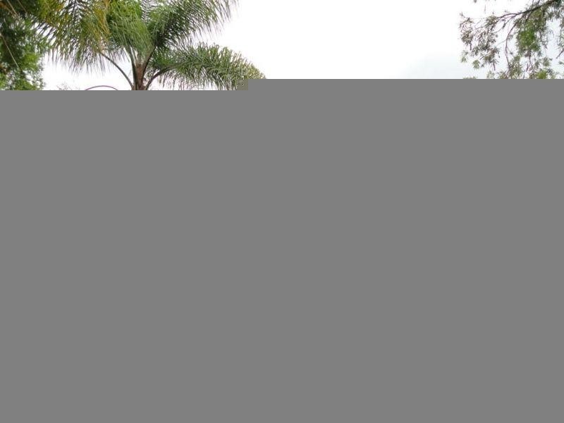 25  Claydon Street, Chinchilla QLD 4413