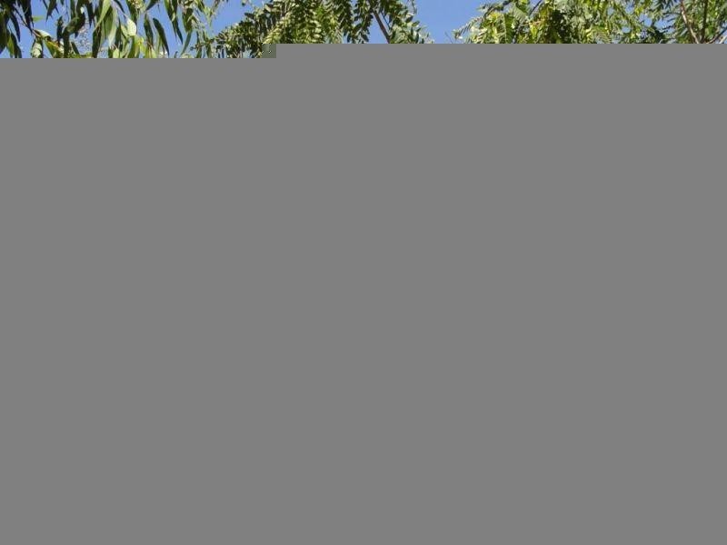 Lot 15 Aerodrome Road, Chinchilla QLD 4413