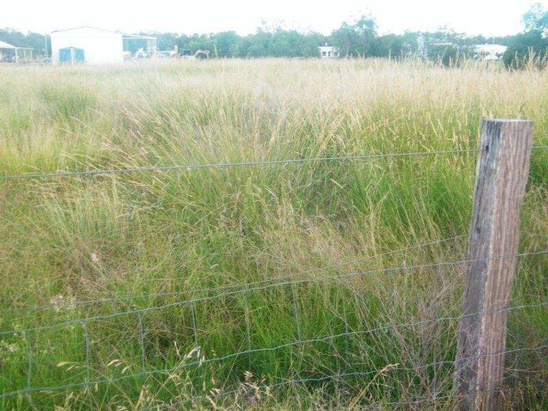 81 Carmichael Street, Chinchilla QLD 4413