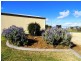 5 Beech Court, Chinchilla QLD 4413