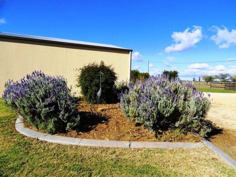 5 Beech Court, Chinchilla QLD 4413