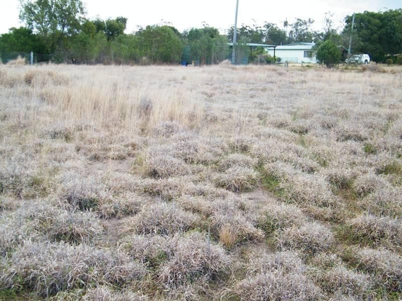 419 Chinchilla Tara Road, Chinchilla QLD 4413
