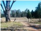 301 Auburn Road, Chinchilla QLD 4413