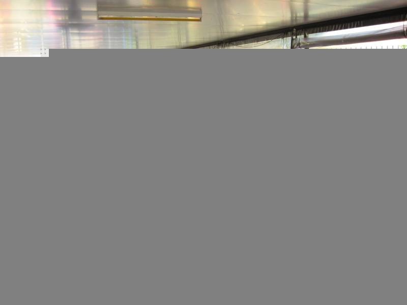 49  Beasley Street, Chinchilla QLD 4413