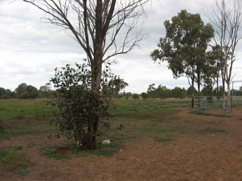 185 Gormleys Road, Chinchilla QLD 4413