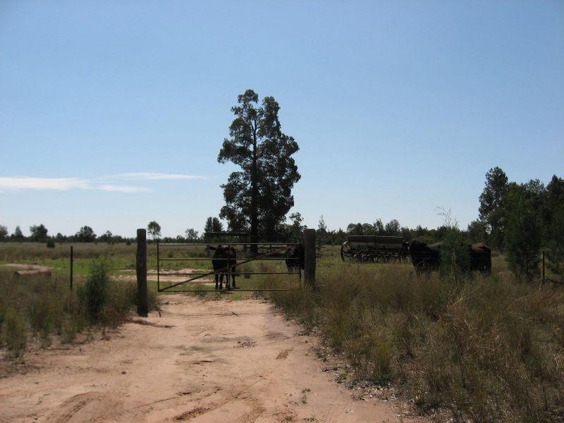 885 Auburn Road, Chinchilla QLD 4413
