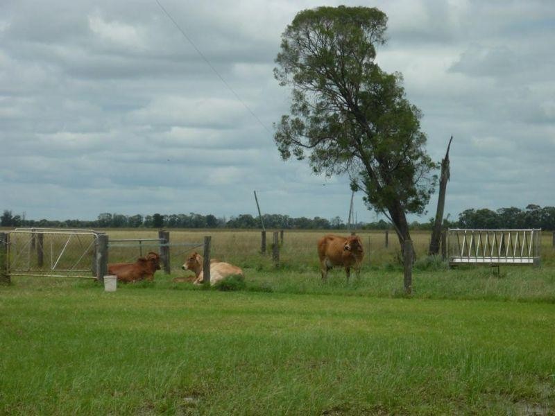 765 Braithwaites Road, Burncluith QLD 4413