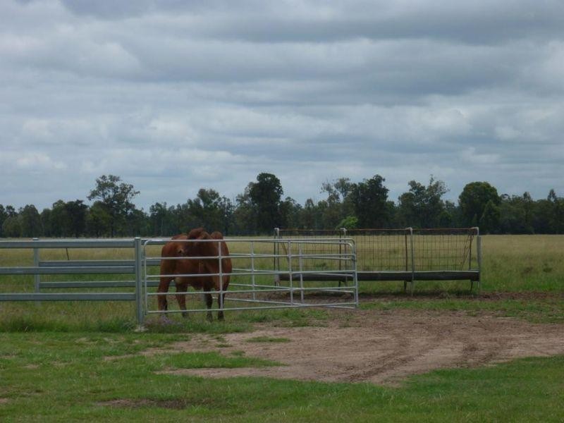765 Braithwaites Road, Burncluith QLD 4413