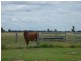 765 Braithwaites Road, Burncluith QLD 4413