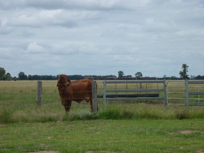 765 Braithwaites Road, Burncluith QLD 4413