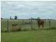 765 Braithwaites Road, Burncluith QLD 4413