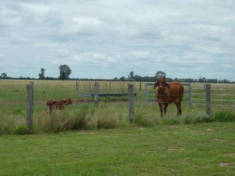 765 Braithwaites Road, Burncluith QLD 4413