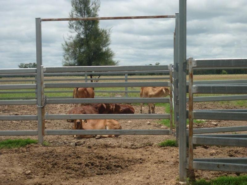 765 Braithwaites Road, Burncluith QLD 4413