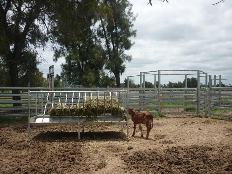 765 Braithwaites Road, Burncluith QLD 4413