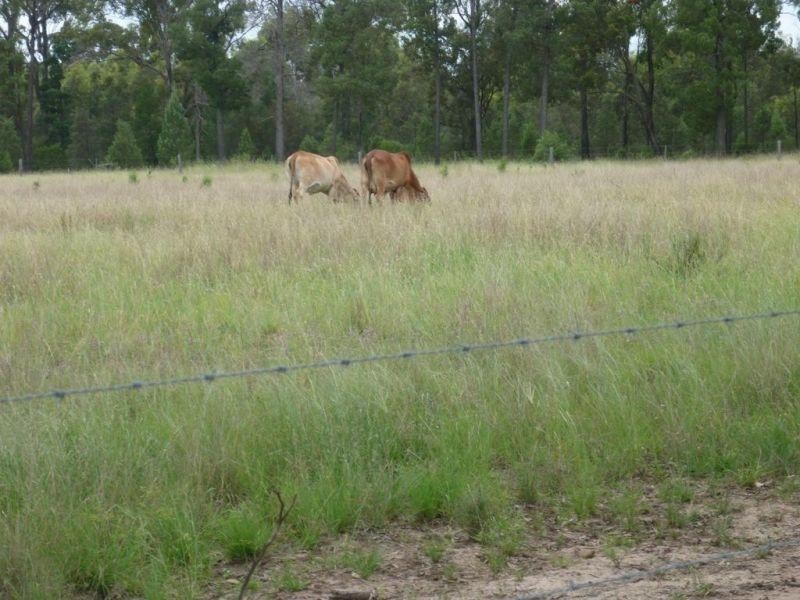765 Braithwaites Road, Burncluith QLD 4413