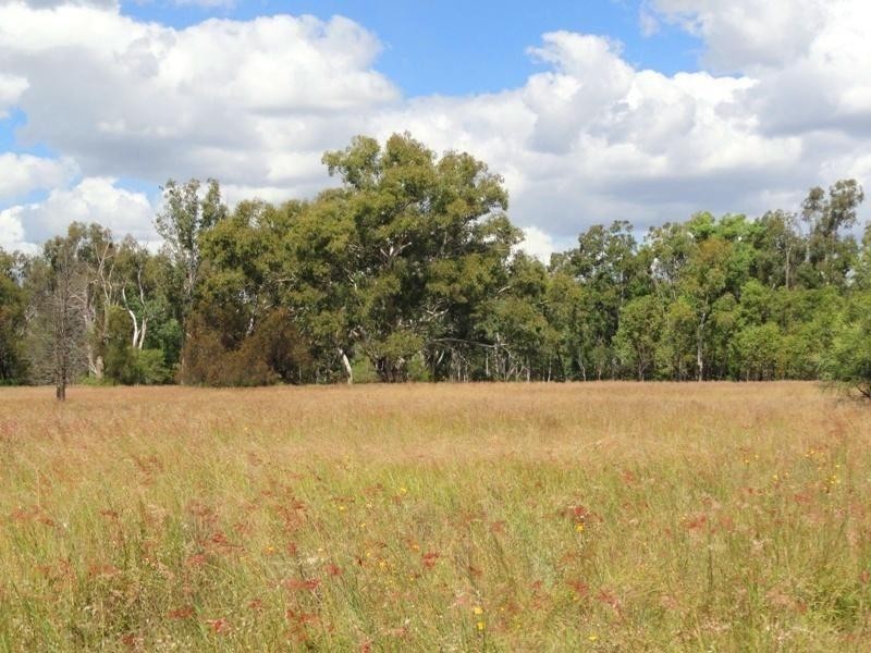 692 Holmes Road, Chinchilla QLD 4413