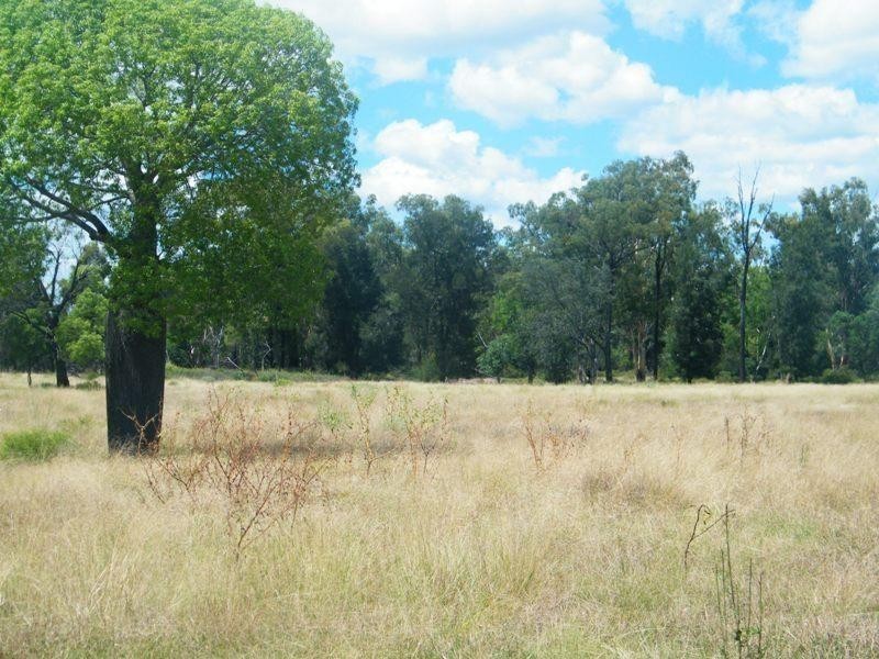 198 Kerwicks Road, Miles QLD 4415