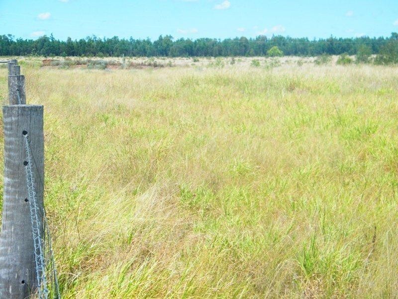 198 Kerwicks Road, Miles QLD 4415