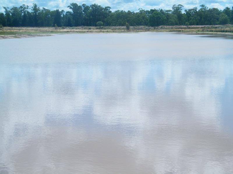 198 Kerwicks Road, Miles QLD 4415