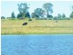 Lot 302 Leichhardt Highway, Miles QLD 4415