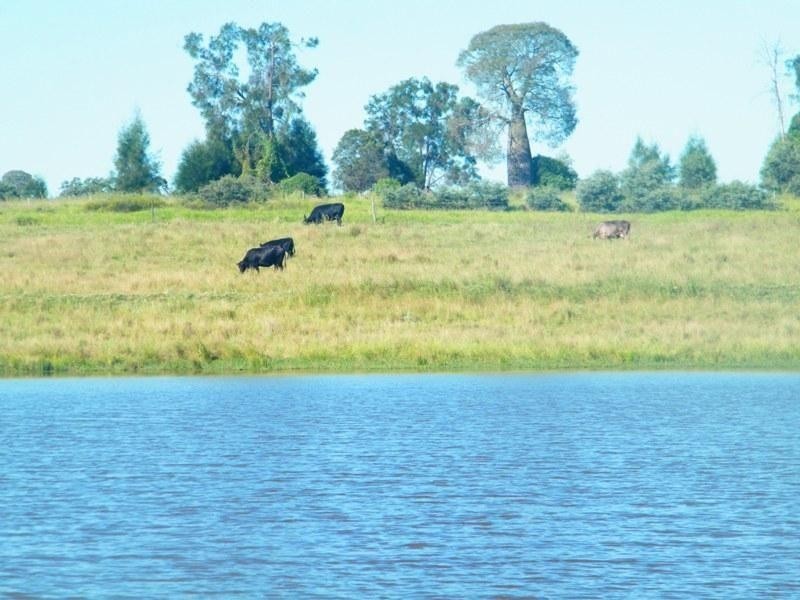 Lot 302 Leichhardt Highway, Miles QLD 4415
