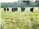 Lot 302 Leichhardt Highway, Miles QLD 4415