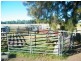 Lot 302 Leichhardt Highway, Miles QLD 4415