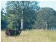 Lot 302 Leichhardt Highway, Miles QLD 4415