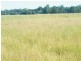 Lot 302 Leichhardt Highway, Miles QLD 4415