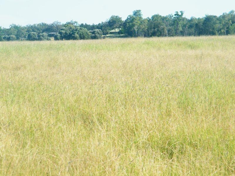 Lot 302 Leichhardt Highway, Miles QLD 4415