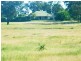 Lot 302 Leichhardt Highway, Miles QLD 4415